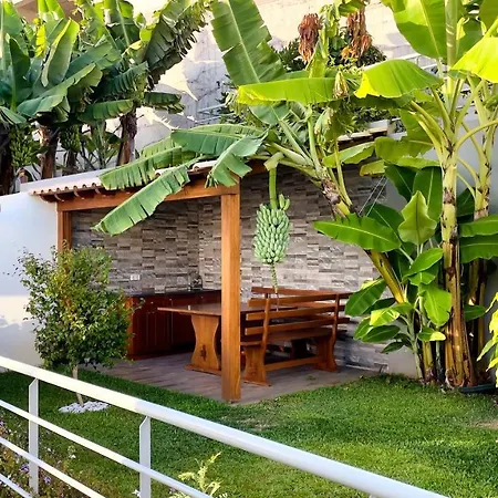 Ocean View Apartamento