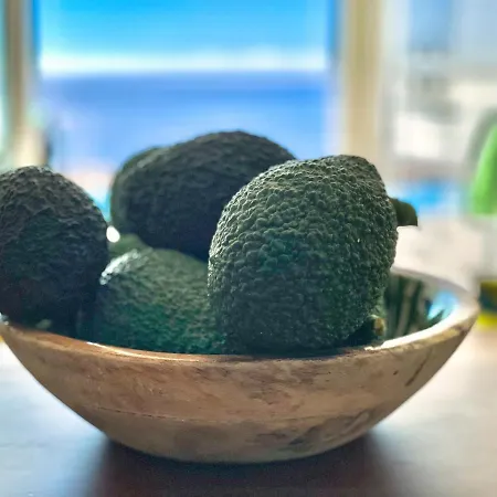 Ocean View * Ribeira Brava