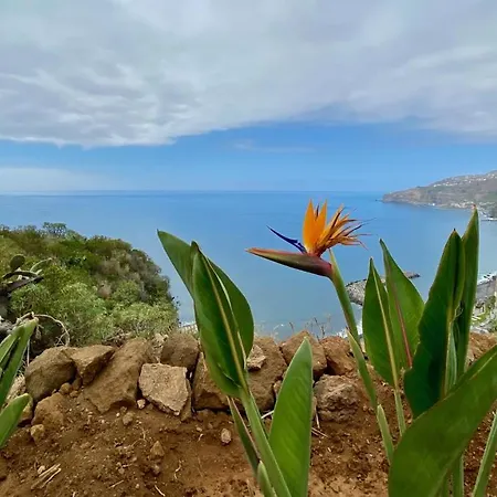 Ocean View شقة *