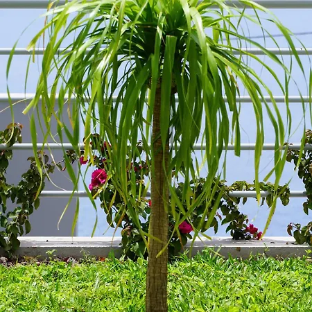 Ocean View Apartamento *