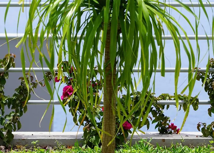 Ocean View Apartment *